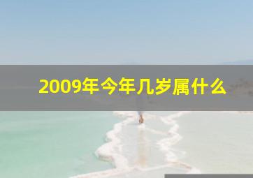 2009年今年几岁属什么