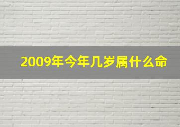 2009年今年几岁属什么命