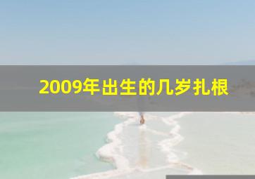 2009年出生的几岁扎根