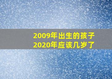 2009年出生的孩子2020年应该几岁了