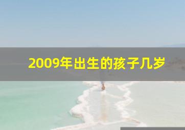 2009年出生的孩子几岁