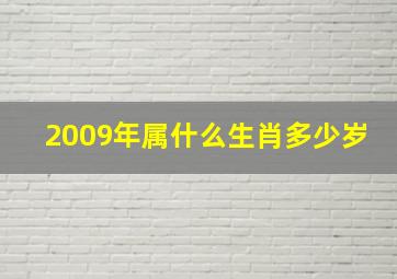 2009年属什么生肖多少岁