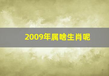 2009年属啥生肖呢