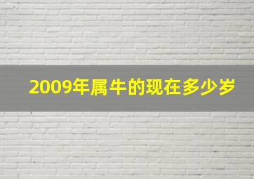 2009年属牛的现在多少岁