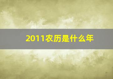 2011农历是什么年