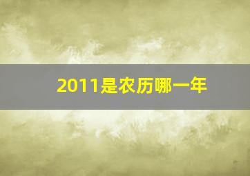 2011是农历哪一年