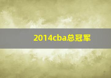 2014cba总冠军