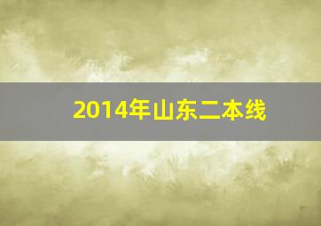 2014年山东二本线