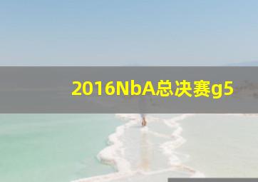 2016NbA总决赛g5