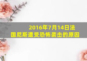 2016年7月14日法国尼斯遭受恐怖袭击的原因