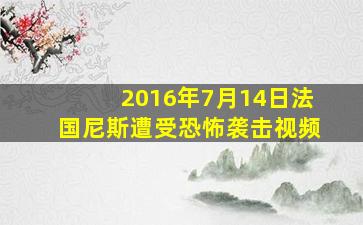 2016年7月14日法国尼斯遭受恐怖袭击视频