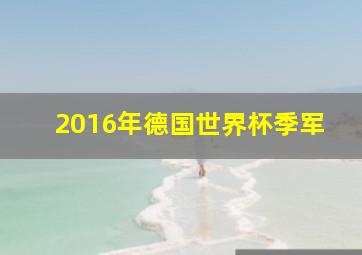 2016年德国世界杯季军