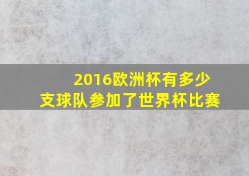 2016欧洲杯有多少支球队参加了世界杯比赛