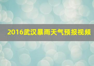 2016武汉暴雨天气预报视频