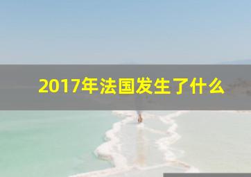 2017年法国发生了什么