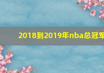 2018到2019年nba总冠军