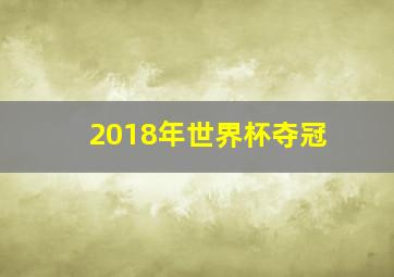 2018年世界杯夺冠