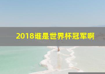 2018谁是世界杯冠军啊