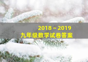 2018～2019九年级数学试卷答案