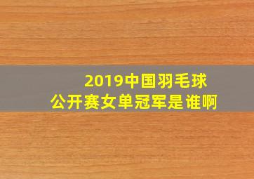 2019中国羽毛球公开赛女单冠军是谁啊