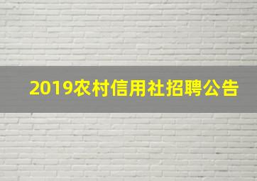 2019农村信用社招聘公告