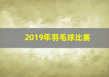 2019年羽毛球比赛