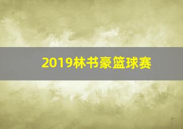 2019林书豪篮球赛