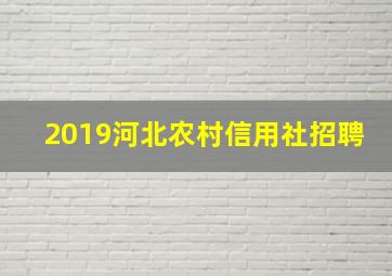 2019河北农村信用社招聘