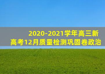 2020-2021学年高三新高考12月质量检测巩固卷政治