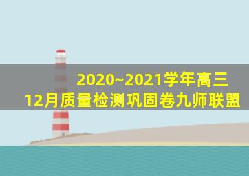 2020~2021学年高三12月质量检测巩固卷九师联盟