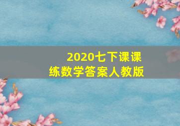 2020七下课课练数学答案人教版