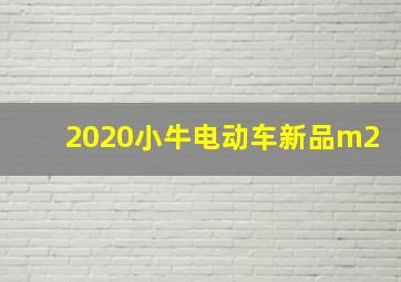 2020小牛电动车新品m2