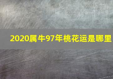 2020属牛97年桃花运是哪里