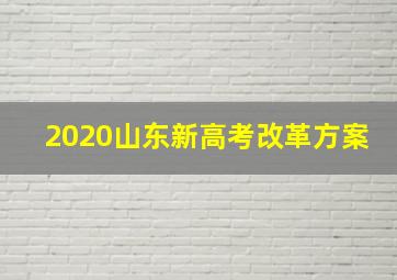 2020山东新高考改革方案