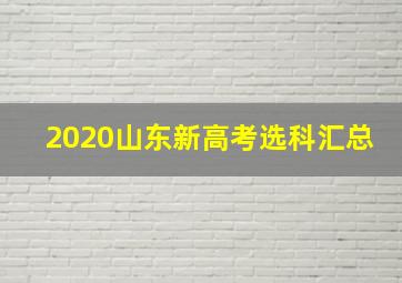 2020山东新高考选科汇总