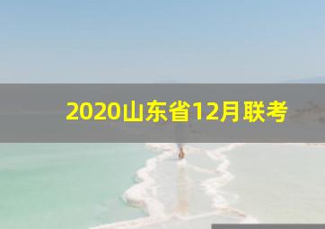 2020山东省12月联考