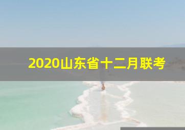 2020山东省十二月联考