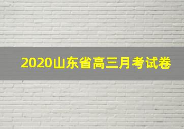 2020山东省高三月考试卷