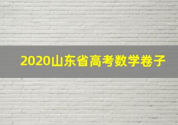 2020山东省高考数学卷子