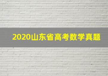 2020山东省高考数学真题