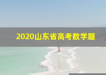 2020山东省高考数学题