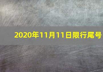 2020年11月11日限行尾号