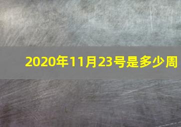 2020年11月23号是多少周