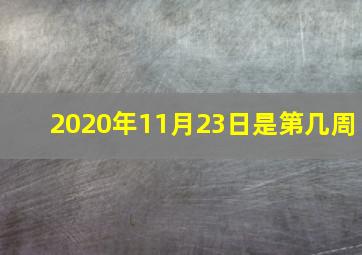 2020年11月23日是第几周