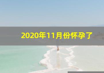 2020年11月份怀孕了