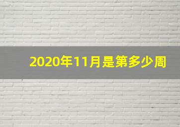 2020年11月是第多少周