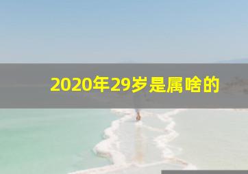 2020年29岁是属啥的