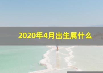 2020年4月出生属什么