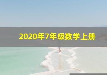 2020年7年级数学上册