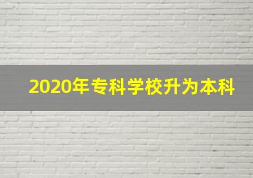 2020年专科学校升为本科